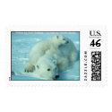 Polar bear with cub postage by moxieann Polar bear with cub postage