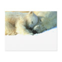 Polar Bear with Cub Postcard
