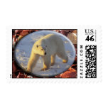 Polar Bearr postage #4