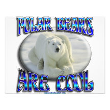 POLAR BEARS ARE COOL_APLHA ANNOUNCEMENTS