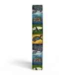 Polar Bears 3 Ring Binders