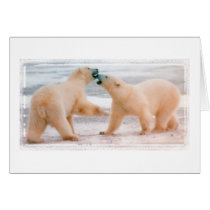 Polar bears card