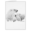 Polar Bears cards by WildlifeInk Polar Bears cards