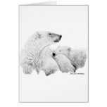 Polar Bears Card