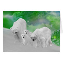 Polar Bears, cubs and northern lights Cards