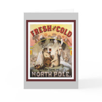 Polar Bears Drinking Lagers cards