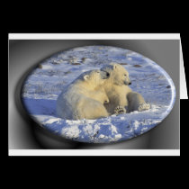 Polar Bears Holiday card #3