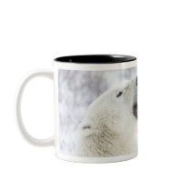 Polar Bears playing in the snow. Mugs