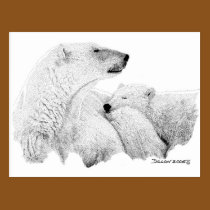 Polar Bears postcards