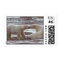 Polar Bears postage