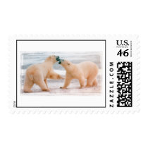 Polar bears postage by churchto12 Polar bears postage