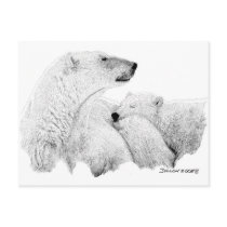 Polar Bears Post Card