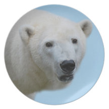 Polar bears profile plates