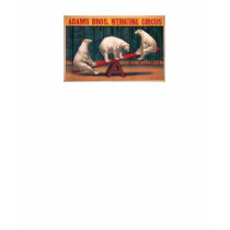 Polar Bears seesaw T-shirt