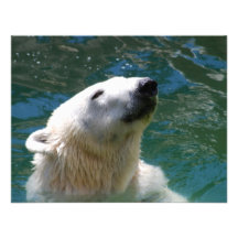 Polar bears smile invite