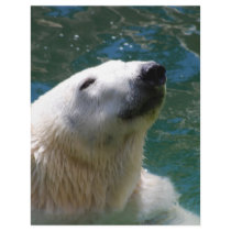 Polar bears smile letterhead template