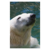 Polar bears smile stationery paper
