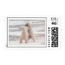 Polar Brothers postage