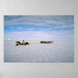 Polar Eskimo, Greenland posters