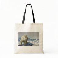 Polar ice flow bag