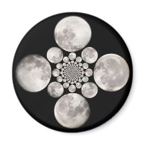 Polar Inversion Moon magnets