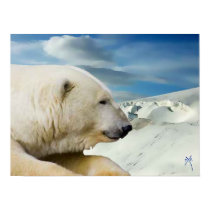 Polar King Poster posters by PauloRodrigues Polar King Poster posters