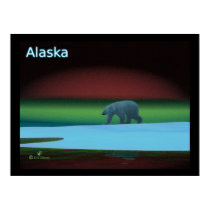 Polar Lights Print
