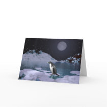 Polar Night Cards