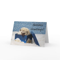Polar Pog "Seasons Greetings" card by PogStarHedgehogs Polar Pog "Seasons Greetings" card