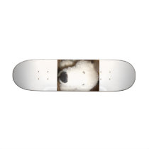 Polar Skate Board