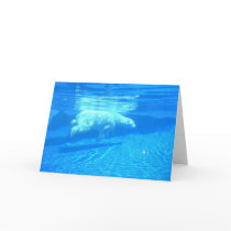 Polar swim cards by flyinfeet Polar swim cards