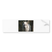 Polar Wolf Bumper Stickers