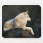 Polar Wolf Mousepads