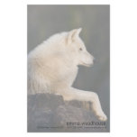 Polar Wolf stationery
