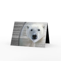 POLAR WONDER cards by arteologist23 POLAR WONDER cards