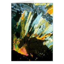 Polarized cards by Artnomad Polarized cards
