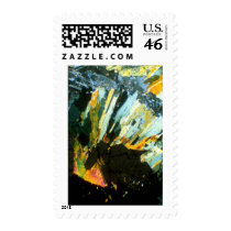 Polarized Stamp