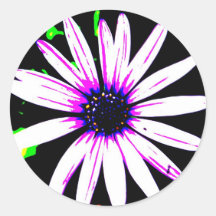 Polarizeddaisy2 Round Stickers