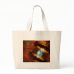 Polarizing of Lycos 4 bags