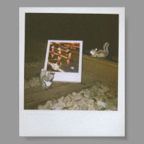 Polaroid+Nature=LOVE posters