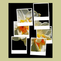 Polaroid Snaps posters