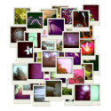 POlaroid Snaps t-shirts by DJTees POlaroid Snaps t-shirts