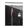 Poles Post Card