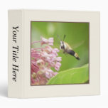 Polilla de colibrí en las flores del Milkweed