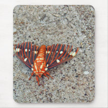 Polilla real Mousepad