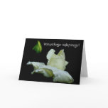Polish Birthday Card Sto Lat White Rosebud Polish Birthday Card Sto Lat White Rosebud