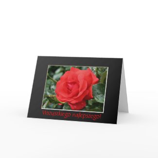 Polish Birthday Greeting Card Sto ... - Customized card