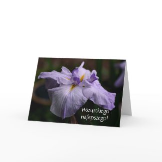 Polish Birthday Greeting Card Sto Lat Iris Photo card