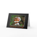 Polish Birthday Greeting Card Sto Lat Rose Photo card