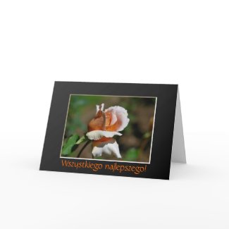 Polish Birthday Greeting Card Sto Lat Rose Photo card
